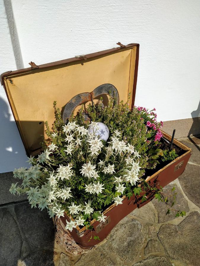 Marie Luise, Landhaus Reith bei Kitzbühel Eksteriør billede